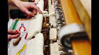 Exploring SAUTER Pianos Legendary Craftsmanship Over 200 Years [upl. by Aneetsirhc]