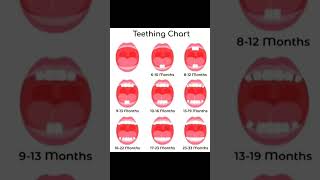 Teething Chart In Children newborncare baby newbornarrival cutebaby newbornstyle [upl. by Nnylyrehc]