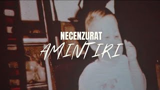 Necenzurat  Amintiri  Video Oficial [upl. by Ahsial259]