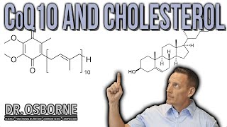 Understanding CoQ10 and Cholesterol Ratios and other questions answered [upl. by Aiuqet]