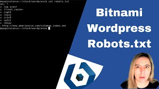 How to create robotstxt for Wordpress manually [upl. by Schecter35]