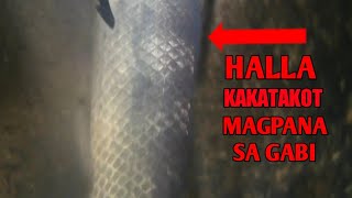 Spearfishing Pagpapana sa GabiNakakatakot lalo kung maraming ahas sa spot [upl. by Delsman]