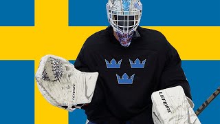 Pro Hockey in Sweden  I SIGNED [upl. by Gurias478]