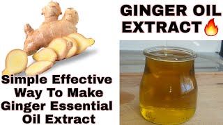 World Best Most Effective Ginger Oil Essential Oil Extract [upl. by Alecram]