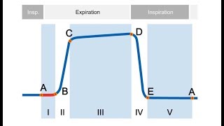 elearning Basics of Capnography [upl. by Nido752]