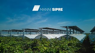 Manni Sipre  Impianto agrivoltaico avanzato [upl. by Shaner]