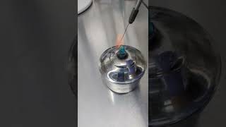 Coagulase test laboratory ashnasidd kenofbiology microbiology molecular [upl. by Rola]