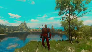 Witcher 3 Wild Hunt Vicious Vitality Vampire build [upl. by Paulita]