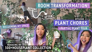 HOUSEPLANT CHORES  Plant tour after rearranging my living room chatty repot building new shelves [upl. by Moina135]