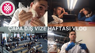 Çapa Diş Hekimliği 1 Sınıf Vize Haftası  VLOG [upl. by Malvin]