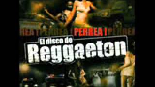 LO MEJOR DE REGGAETON 2010 PERREO [upl. by Odom]