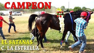 CARRERAS DE CABALLOS GRAN FINAL FUTURITY 2018 [upl. by Janey191]