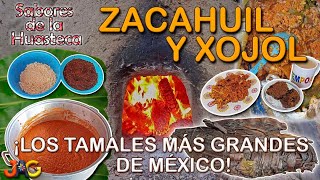 Sabores de la Huasteca 7 Preparación del Zacahuil y del Xojol ¡Los tamales más grandes de México [upl. by Izy837]