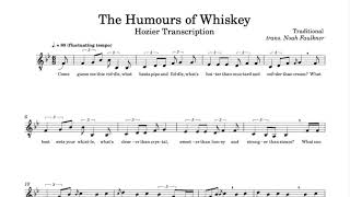 Hozier  The Humours of Whiskey a cappella  Transcription [upl. by Tena]