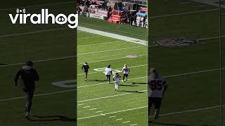 Dachshund Runs Loose at NFL Game  ViralHog [upl. by Yelserp]