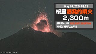 2024年5月20日 0121 桜島 爆発的噴火 2300ｍ  Sakurajima Explosive Eruption [upl. by Elmina]