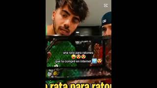 Una rata para ratones jsjs😅editsfedevigevani [upl. by Lenahs]