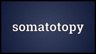 Somatotopy Meaning [upl. by Mahon829]