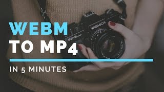 How to convert webm to mp4 offline [upl. by Meeki]