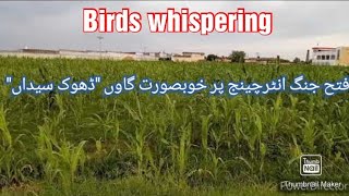 Fateh jang interchangebeauiful village Dhok sydanbirds whisperingcpec M14 hakla di khan motorway [upl. by Cairns]