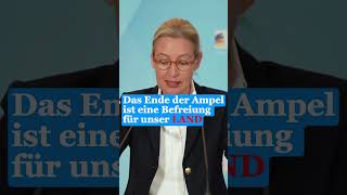 Alice Weidel und Tino Chrupalla sprechen Klartext afd shortvideo news shorts afdwählen [upl. by Corrie]