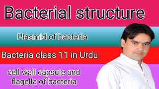 structure of bacterial cell  class 11  Dr Mushtaq [upl. by Clyte569]