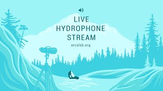 OrcaLab Live Hydrophone Audio [upl. by Bowerman230]