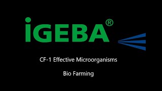 IGEBA CF1 Fog System  Effective Microorganisms Application [upl. by Budwig5]