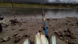 Dique La Aguadita Chamical Pescando Pejerrey con amigos [upl. by Nylirehc]