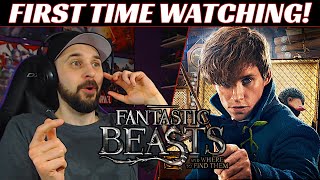 Fantastic Beasts Movie REACTION Fantastic Beasts and Where to Find Them [upl. by Kcirdet]