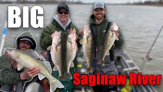 Saginaw River Walleye Fishing 31623 4 man limit of BIG walleyes and a bunch of cats [upl. by Morvin]