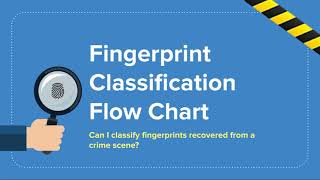 RECAP Fingerprint Classification Flow Chart [upl. by Trudy]