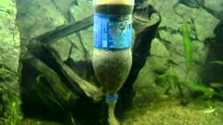 DIY Clean  Rinse Aquarium Sand or PFS Quickly [upl. by Amalee]