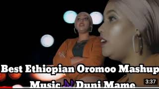 New Oromo cover2024 [upl. by Lyrahs]