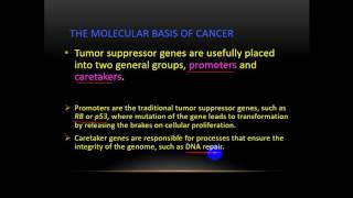 Pathology  drTahseen  Carcinogenesis 1 تكون الأورام [upl. by Odnavres]