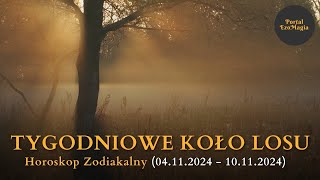 Tygodniowe Koło Losu 04112024  10112024 kartadnia horoskop [upl. by Esaele]