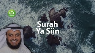 Surah YASIN Merdu dan Menyejukkan  Mishari Rasyid AlAfasy  Tadabbur Daily [upl. by Yerag]