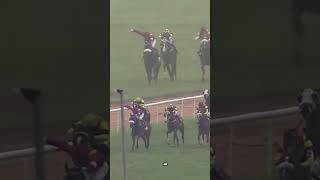 Ranquelino wins Bangalore 2000 Guineas Gr2 [upl. by Lupita]