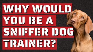 Why Would You Be A Sniffer Dog Trainer [upl. by Hafinah]