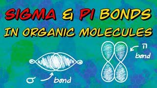 Sigma and Pi Bonds in Organic Molecules [upl. by Barbey]