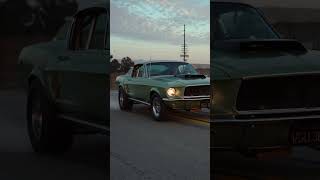 1967 Fastback Mustang Survivor shorts [upl. by Tfat960]