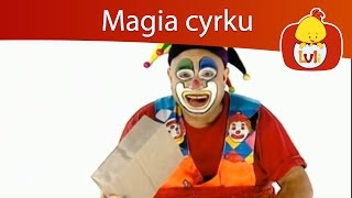 Magia cyrku  Czapeczka dla dzieci Luli TV  Videos for babies [upl. by Lebyram256]