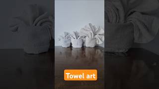 Towel art design  towelart ytshorts youtubeshorts viralvideo [upl. by Asoj]