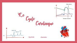 Le cycle cardiaquela pompe cardiaque Physiologie cardiovasculaire [upl. by Nerissa424]