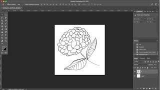 How to Change the Color of Line Art on Photoshop [upl. by Sire]