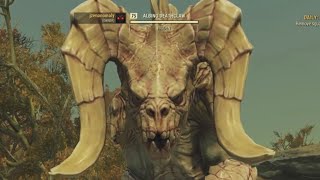 Pet Albino Deathclaw Fallout 76 [upl. by Caye803]