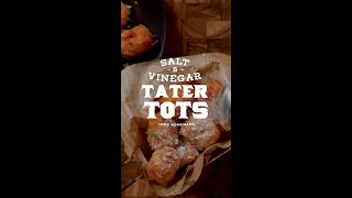 Ultimate Salt amp Vinegar Tater Tots The Perfect Crunchy Snack Recipe [upl. by Kalil]