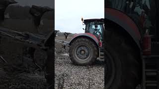 Case IH Optum 300 cvx  Lemken EurOpal 8 [upl. by Llenil328]