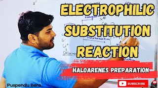 Electrophilic Substitution Reaction Mechanism  Haloarenes Preparation [upl. by Lahcear]