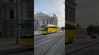 Vienna tram in Burgtheater tram viennatram vienna austria viennacity viennatoday [upl. by Naahs98]